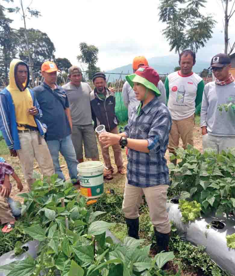 Semula Narkotika Kini Hortikultura - Trubus