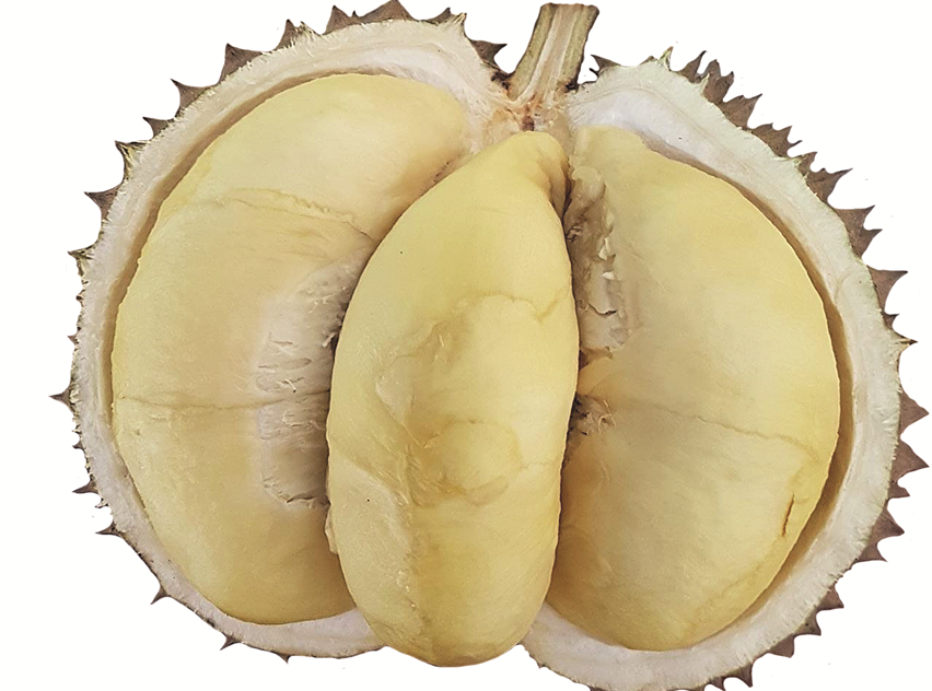 durian mbenda