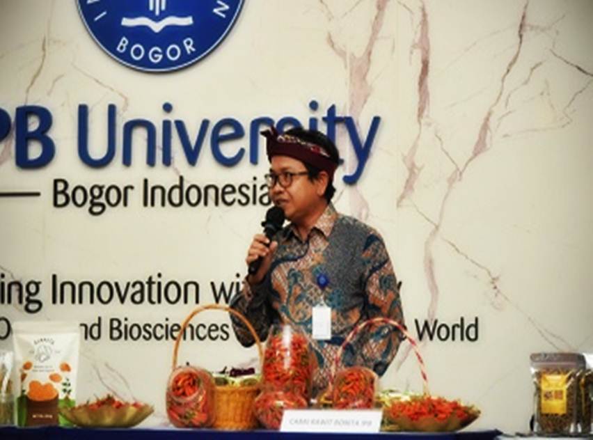 cabai rawit bonita ipb