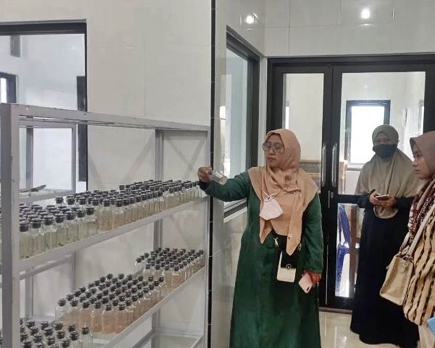 anggrek universitas jember