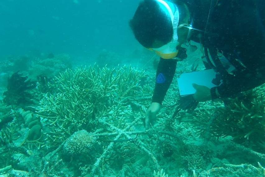 taman nasional komodo