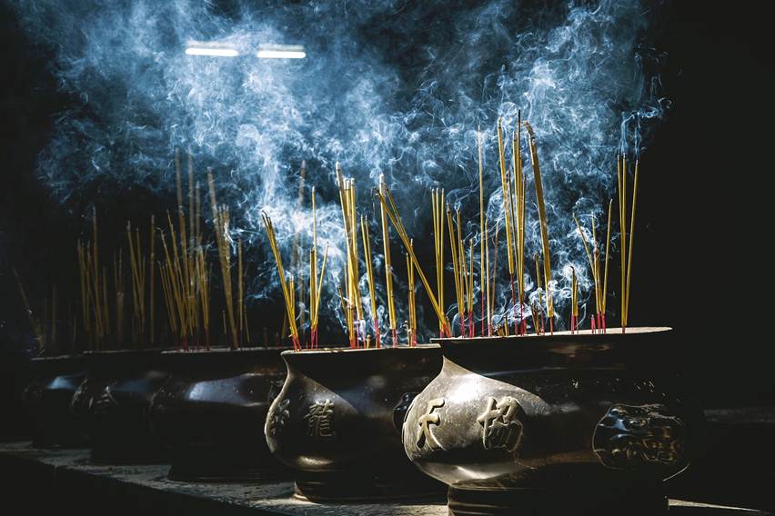 dupa membuat walet nyaman