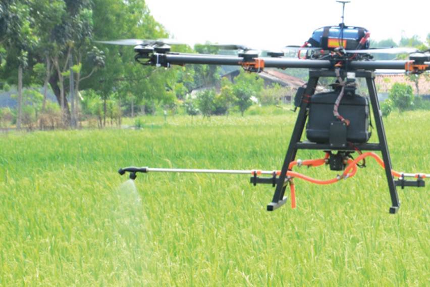 Drone penyemprot pestisida nabati saat mengudara di atas hamparan padi