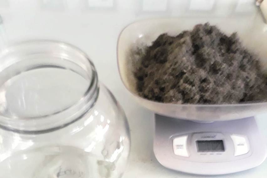 manfaat daun berenuk untuk kanker