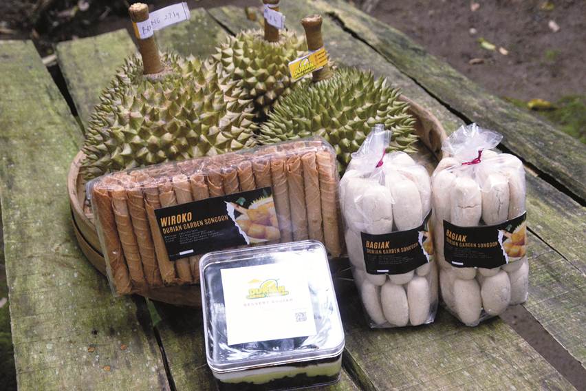 olahan durian songgon