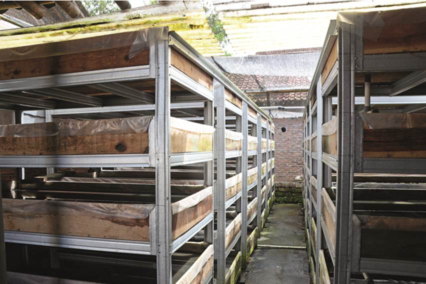 Budidaya cacing sutra sistem apartemen.