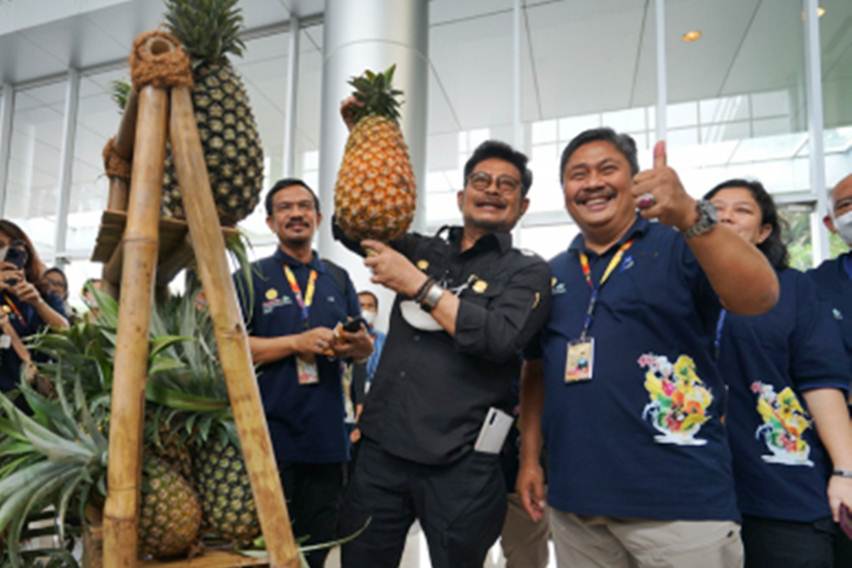 Menteri Pertanian Syahrul Yasin Limpo menginginkan produk hortikultura, seperti buah dan sayur tembus pasar mancanegara.