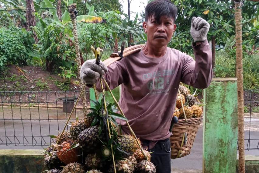 bantuan buah nanas korban gempa di Cianjur