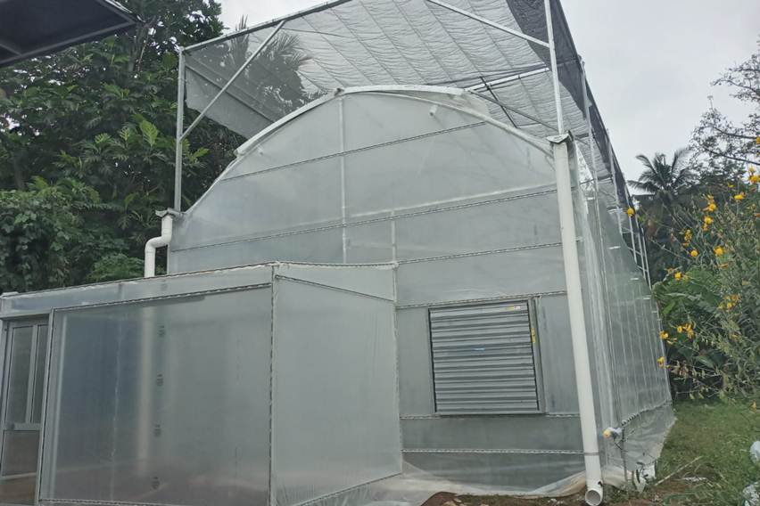 greenhouse hidroponik