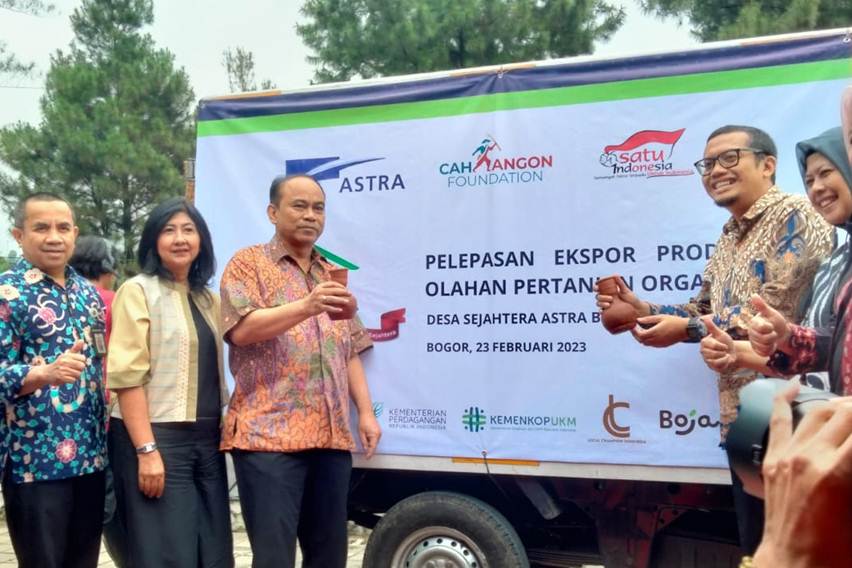ekspor olahan hasil pertanian organik boja farm