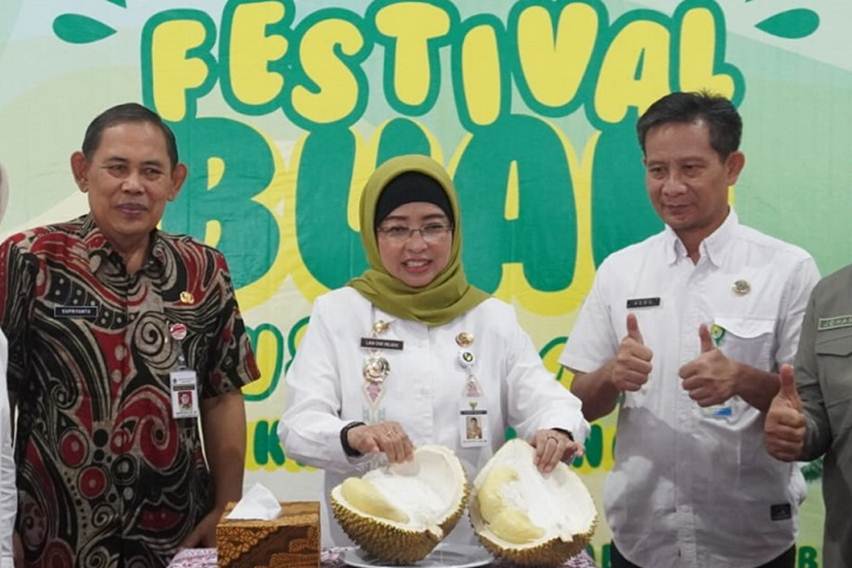 kontes durian kabupaten batang