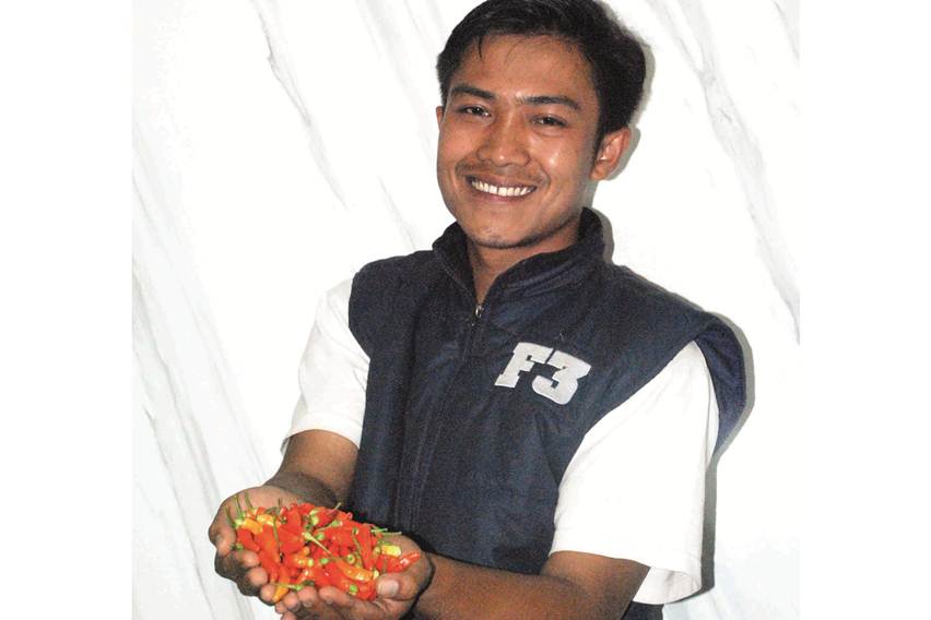 Muhamad Ridwan petani cabai