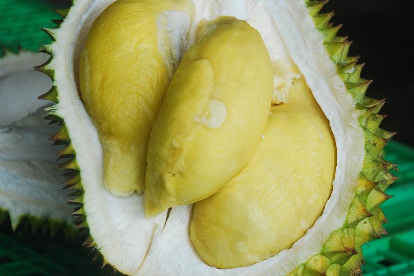 durian simimang dari banjarnegara