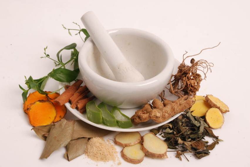 aneka herbal untuk obat bronkitis kronis