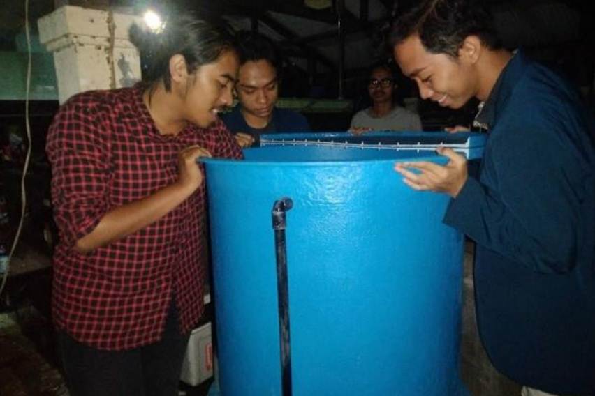 Dongkrak Daya Tetas Kerapu dengan Switcher