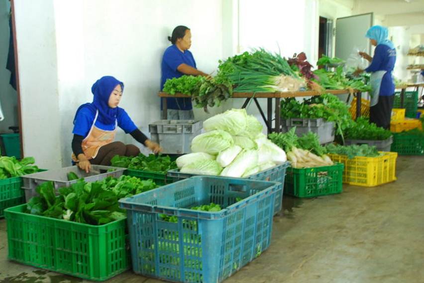 Siasat Raih Untung di Luar Musim