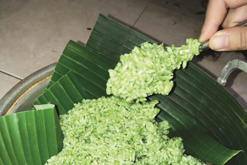 Olahan Tapai Ketan Sarang Walet