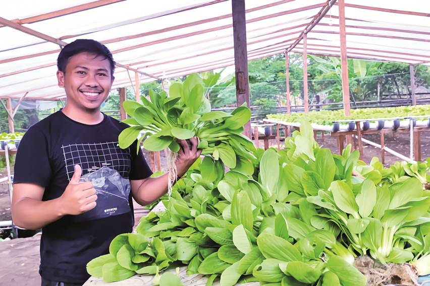 Tinggalkan Tambang Demi Hidroponik