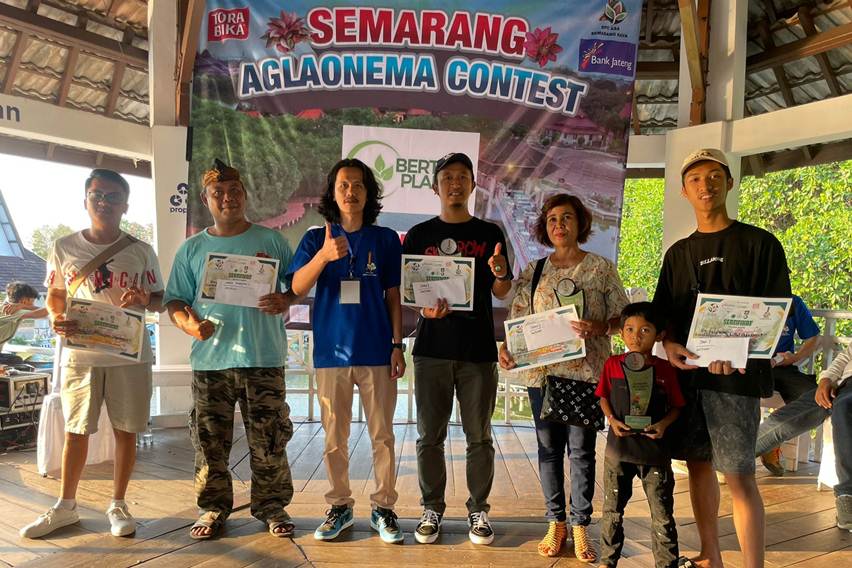 Bangkitkan Kembali Geliat Industri Aglaonema Lewat Kontes