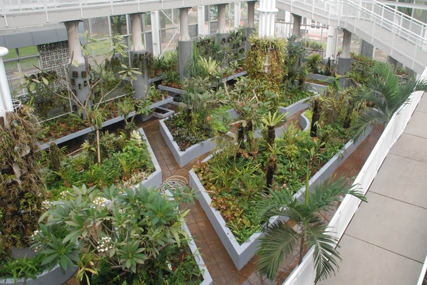 Taman Modern dengan Koleksi 4.000 Anggrek