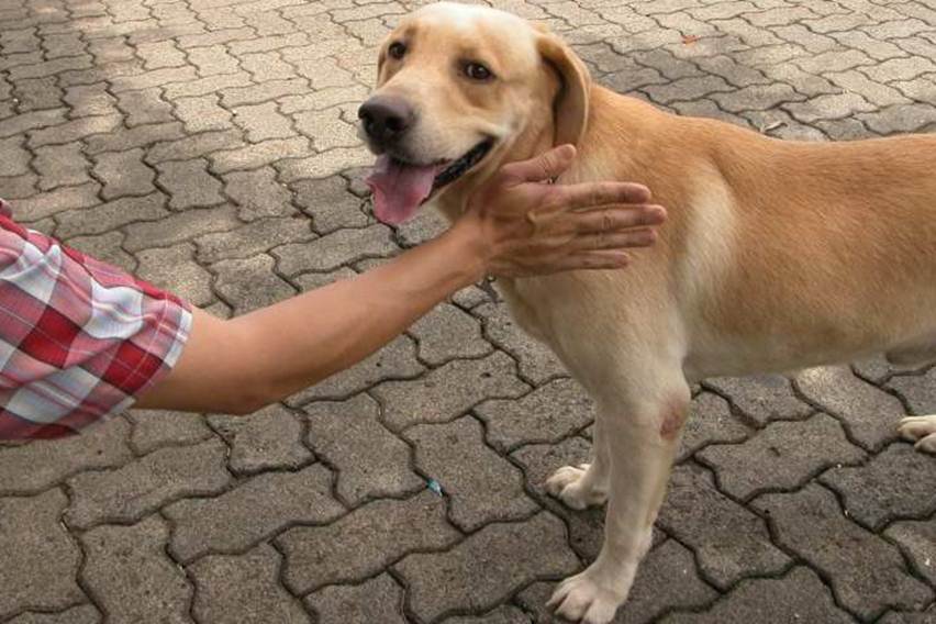 Elusan Memicu Gairah Latihan