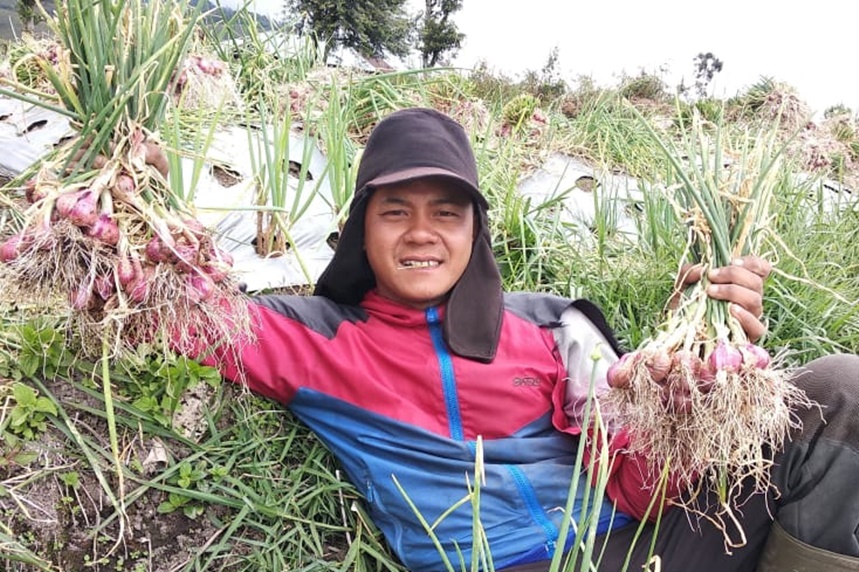 Sebelas tahun berkairer di salah satu bank daerah di Kota Sukabumi, Jawa Barat, tidak membuat Firdaus Agustian nyaman. Ia berhenti dari banker untuk bertani bawang merah.
