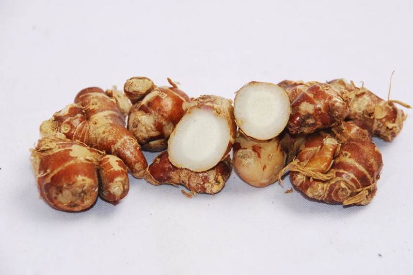 Herbal Antiobesitas dan Antidiabetes