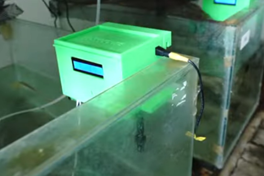 Air media hidup untuk ikan. Baik buruknya kualitas air memengaruhi kelangsungan hidup ikan. Dalam proses budidaya, kualitas air membantu pertumbuhan ikan.