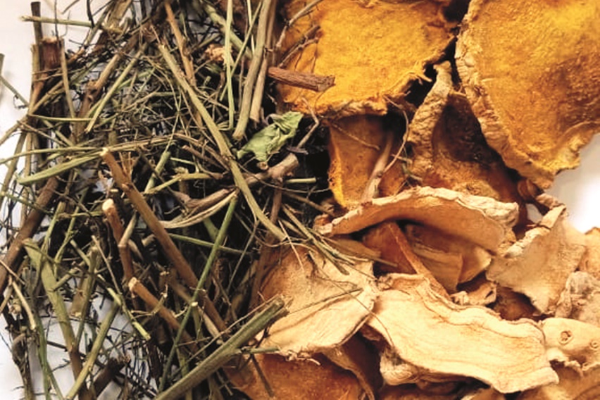 Terapi antiretroviral bagi pengidap Human Immunodeficiency Virus (HIV) membantu memperlambat perkembangan virus di dalam tubuh hingga menjadi Acquired Immune Deficiency Syndrome (AIDS).