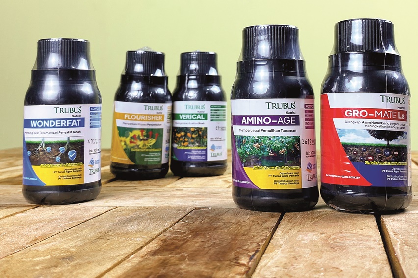 Penggunaan nutrisi Power V-Gro mendatangkan manfaat bagi petani. Pekebun di Desa Selokromo, Kecamatan Leksono, Kabupaten Wonosobo, Provinsi Jawa Tengah, Noordin Lubis merasakan manfaat itu.