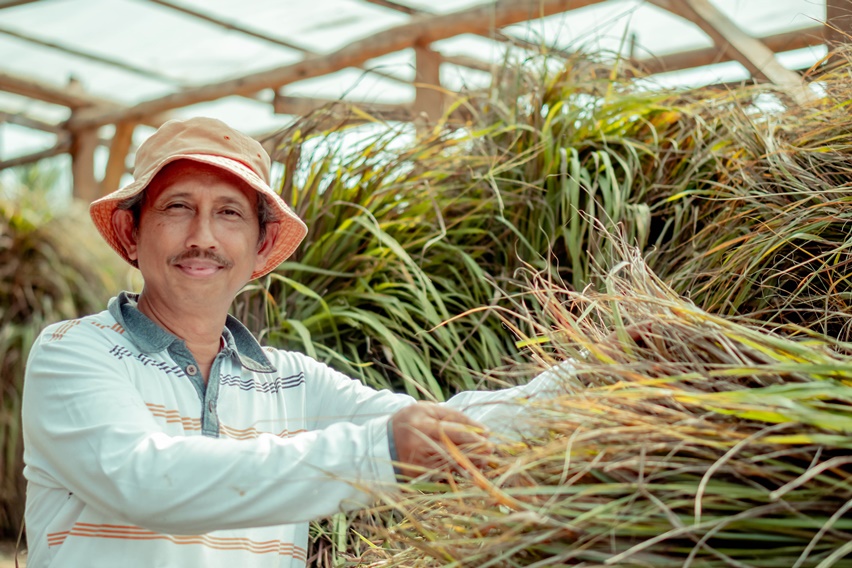 Kisah Sukses Dharmayugo Hermansyah Berbisnis Minyak Asiri