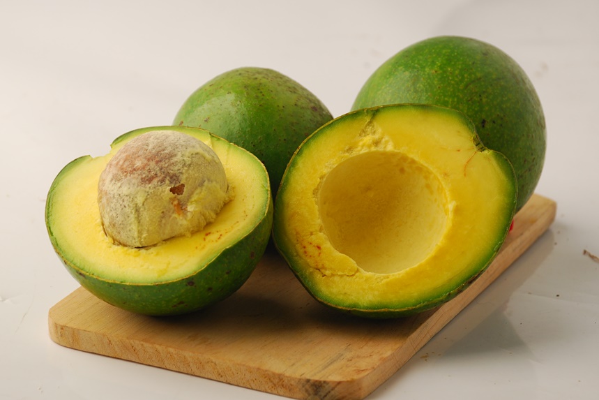 khasiat buah alpukat