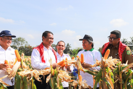 jagung