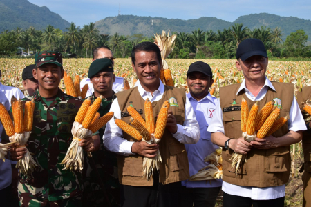 Impor jagung