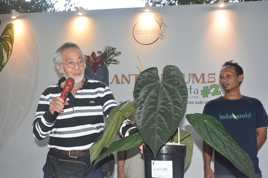 kontes tanaman hias
