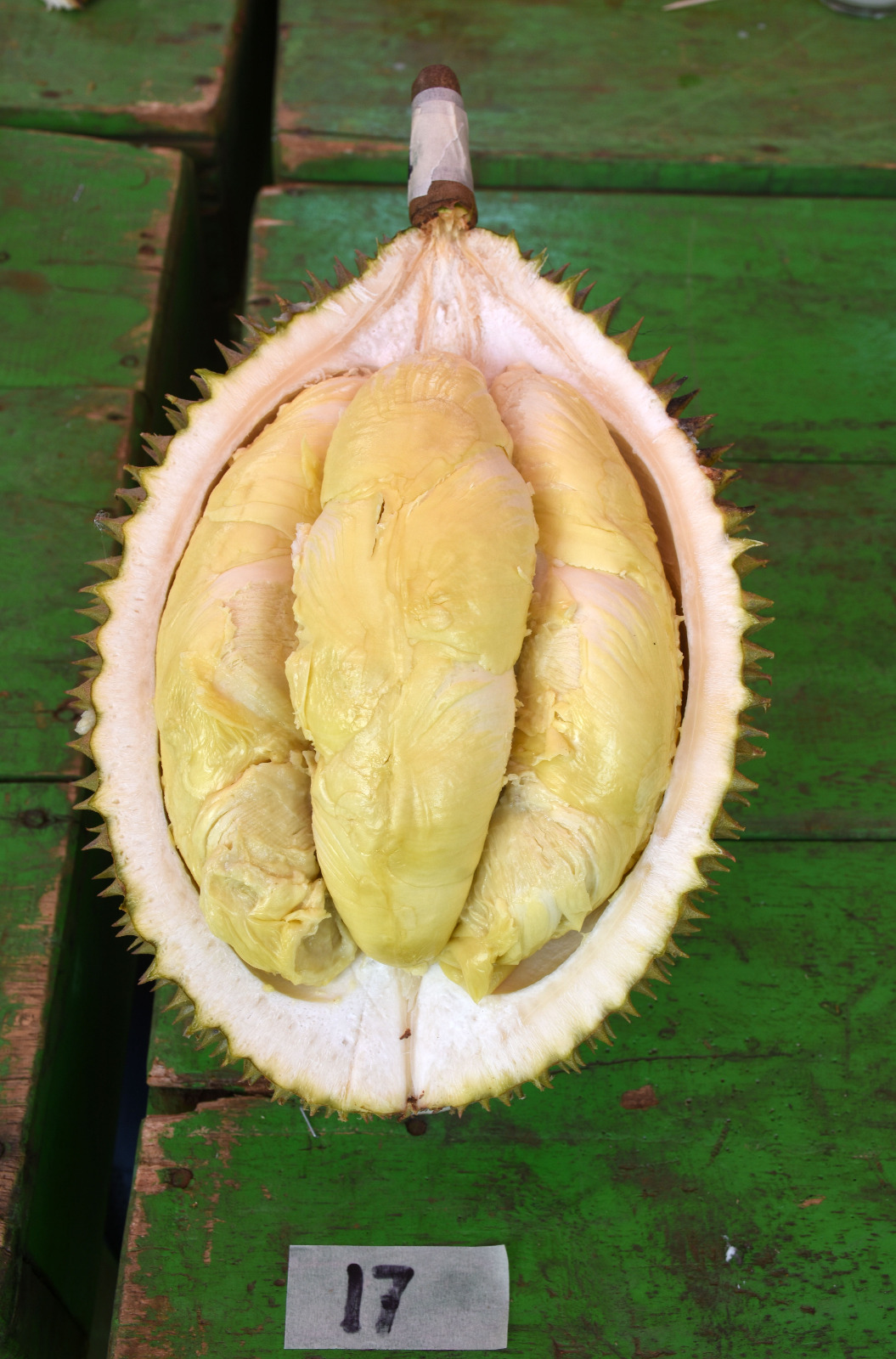 durian lokal