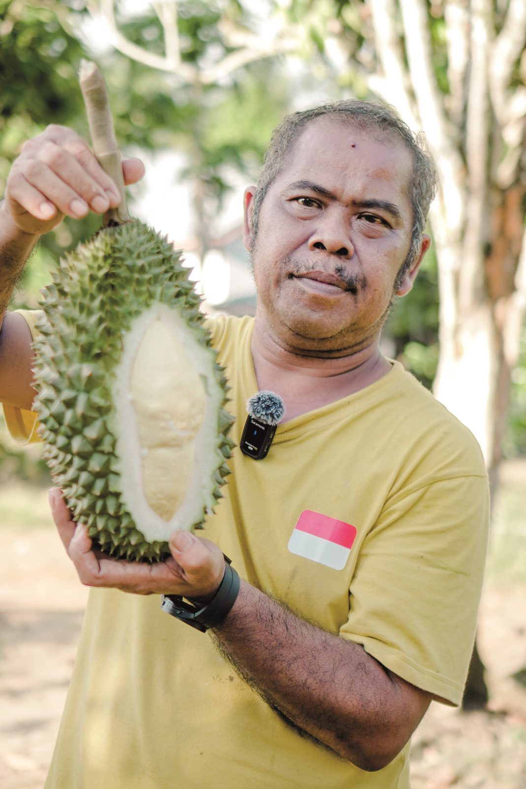 durian montong