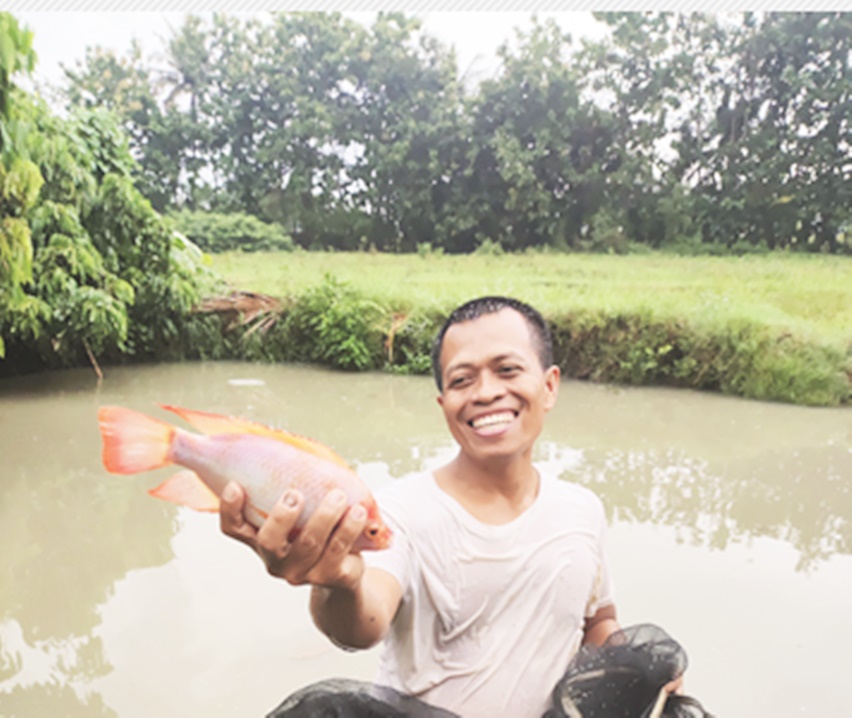 Nila silamanda