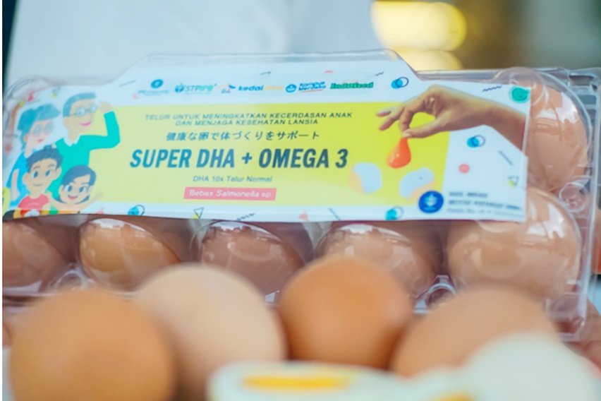 telur omega 3