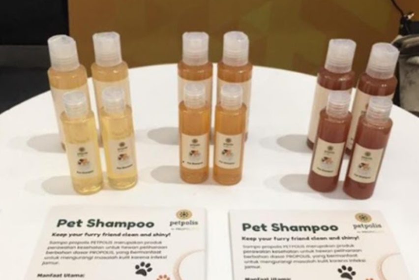 propolis