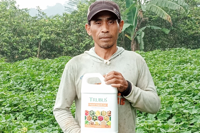 poc lemak hewani
