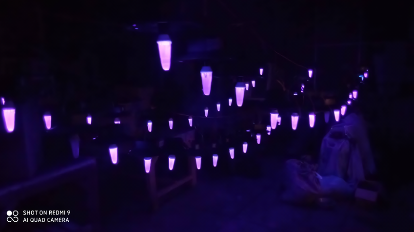 Penggunaan light trap atau lampu perangkap mampu menurunkan biaya produksi untuk budi daya bawang merah. (Dok. Tonny K. Moekasan)