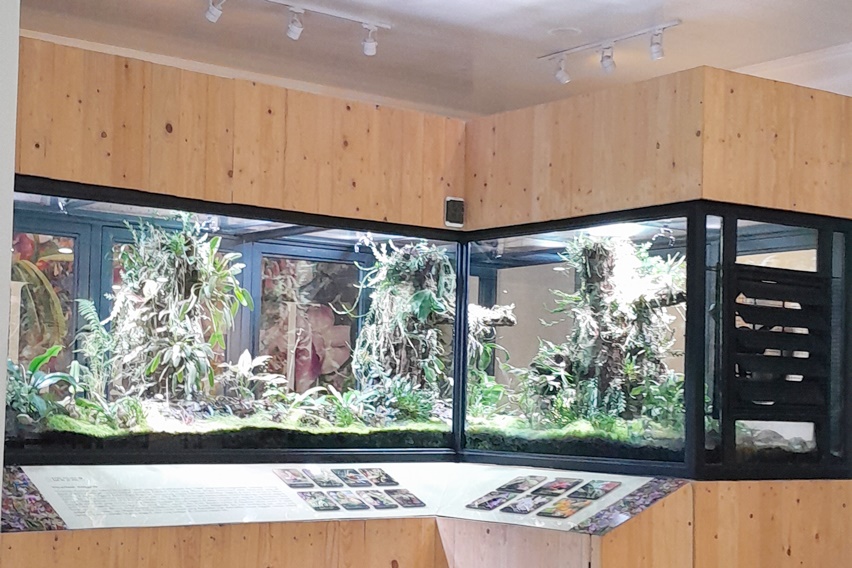 vivarium anggrek