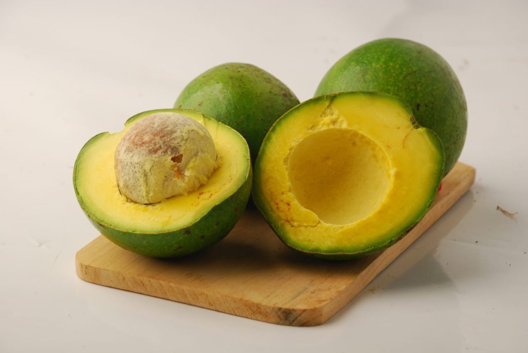 alpukat olahan