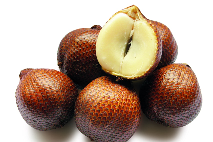 Salah satu kriteria salak ekspor berkulit mulus dan mengilap/Dok.Trubus
